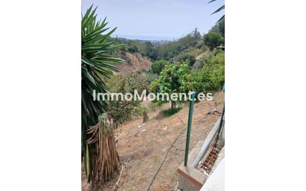 Bestaande woning - Landhuis - Estepona  - Estepona Centro