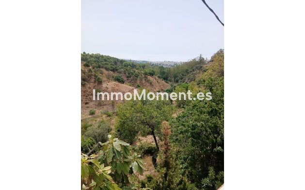 Bestaande woning - Landhuis - Estepona  - Estepona Centro