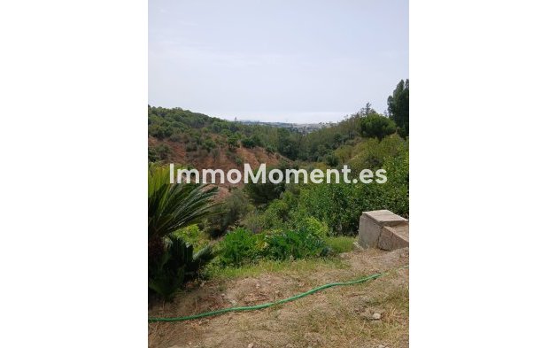 Bestaande woning - Landhuis - Estepona  - Estepona Centro