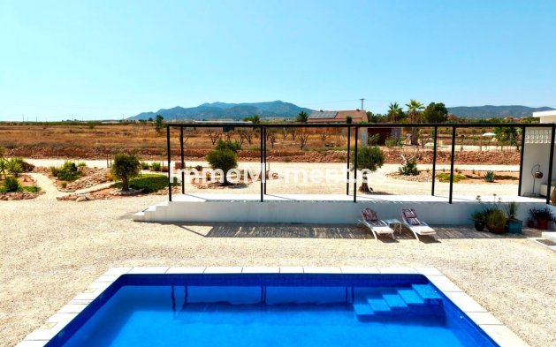 Reventa - Villa independiente - Pinoso - Pinoso Centro