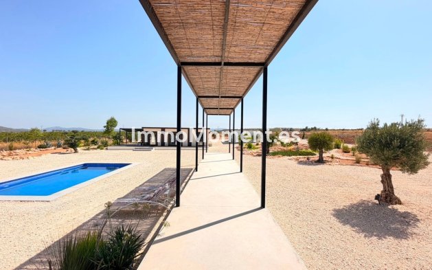 Reventa - Villa independiente - Pinoso - Pinoso Centro