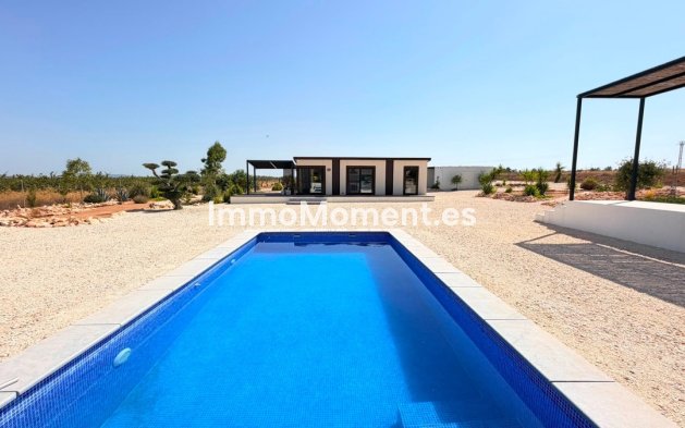 Reventa - Villa independiente - Pinoso - Pinoso Centro