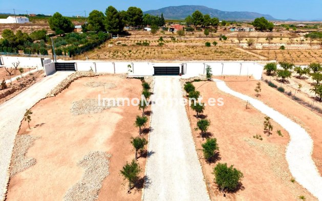 Reventa - Villa independiente - Pinoso - Pinoso Centro