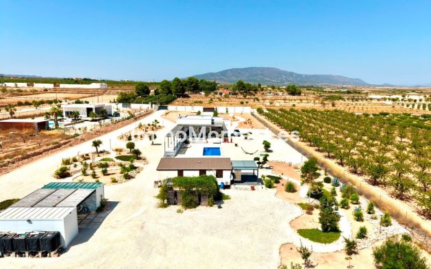 Reventa - Villa independiente - Pinoso - Pinoso Centro