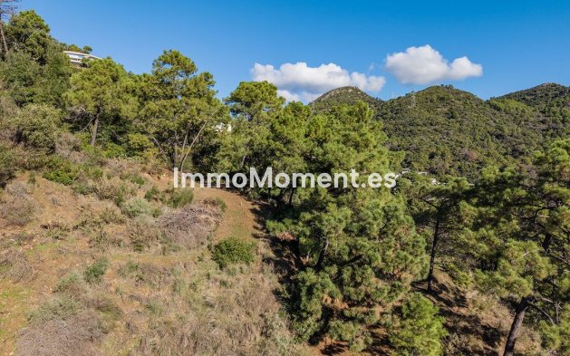 Obra nueva - Parcela - Benahavís - Benahavís Centro