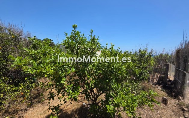 Bestaande woning - Vrijstaande villa - Guardamar del Segura - Guardamar del Segura Centro