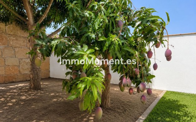 Revente - Villa individuelle - Estepona  - Estepona Centro