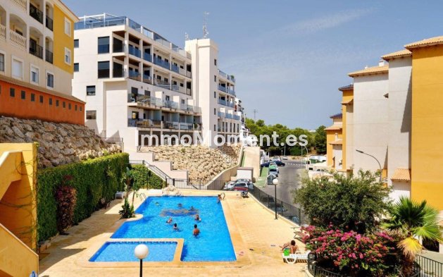 Wiederverkauf - Wohnung - Orihuela - Campoamor
