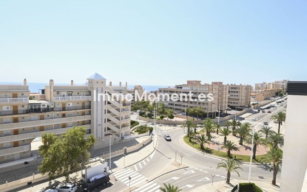 Wiederverkauf - Wohnung - Elche - Arenales del Sol