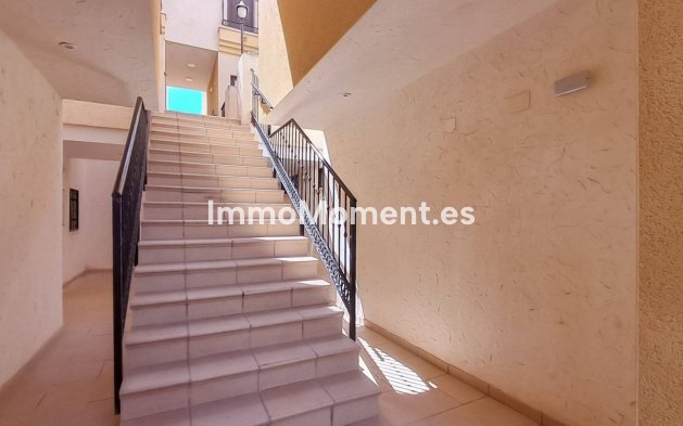 Wiederverkauf - Wohnung - Orihuela - Cabo roig - La Zenia
