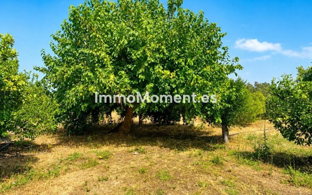 Resale - Country house - Inland  - Coín