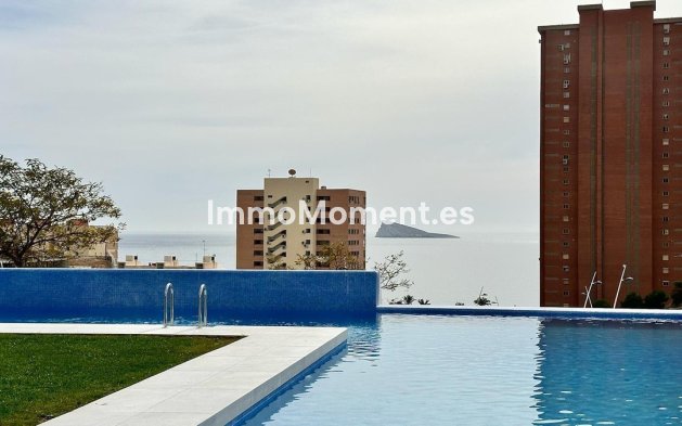 Resale - Apartment - Benidorm - Benidorm Centro