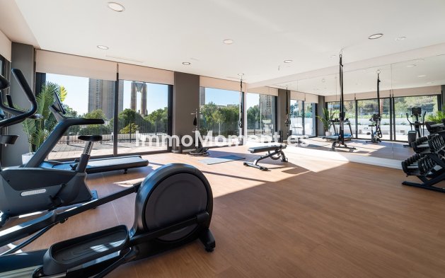 Reventa - Apartamento - Benidorm - Benidorm Centro
