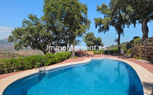 Reventa - Apartamento - Marbella - La Mairena