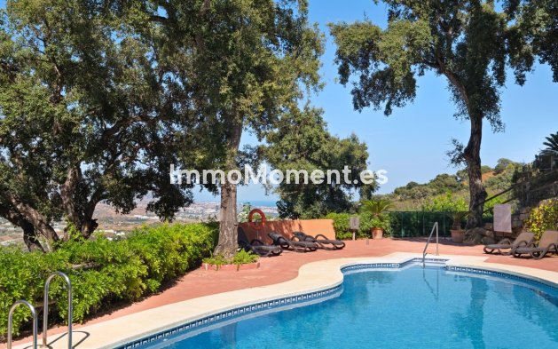 Reventa - Apartamento - Marbella - La Mairena