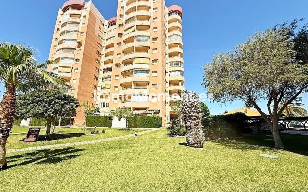 Bestaande woning - Appartement - Orihuela - Dehesa de campoamor