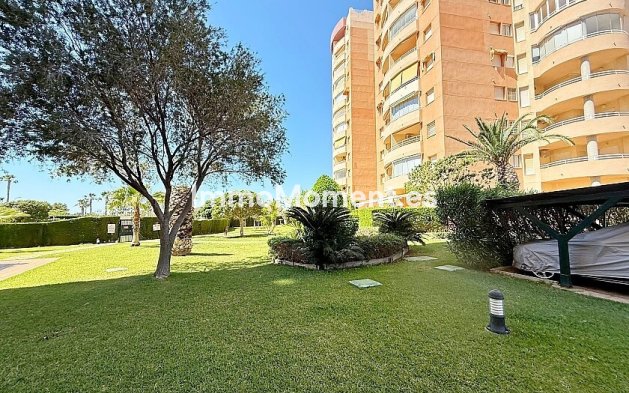 Bestaande woning - Appartement - Orihuela - Dehesa de campoamor