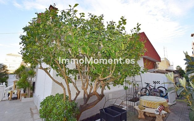 Revente - Villa individuelle - Torrevieja - Torrevieja Centro