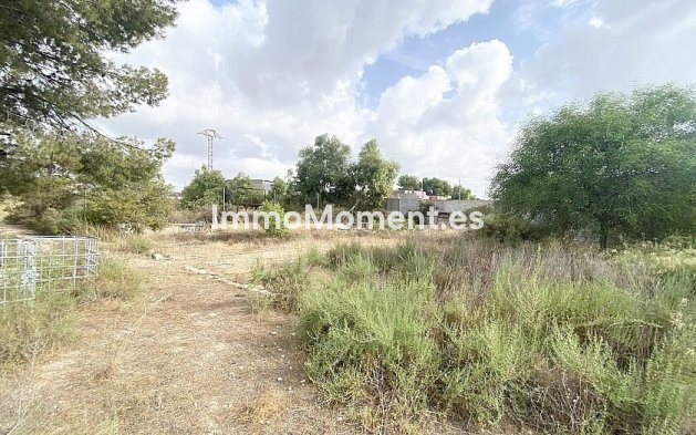 Bestaande woning - Vrijstaande villa - Crevillente - Crevillente - Crevillent Centro