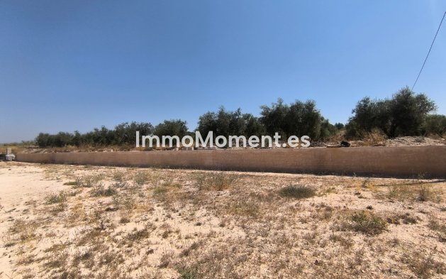 Reventa - Villa independiente - Pinoso - Pinoso Centro