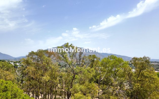Revente - Appartement - Marbella - Nueva Andalucía