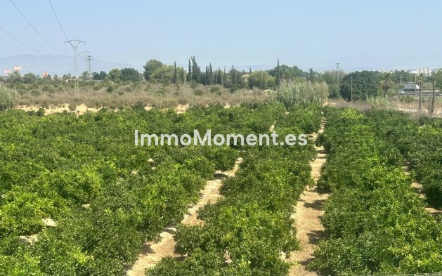 Reventa - Villa independiente - Algorfa - Algorfa Centro