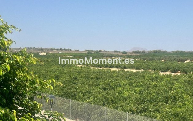 Reventa - Villa independiente - Algorfa - Algorfa Centro