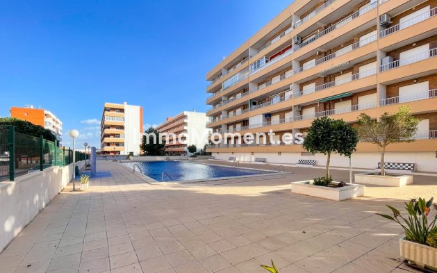 Reventa - Apartamento - Orihuela - Punta Prima