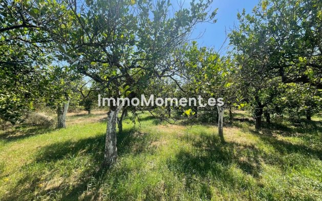 Resale - Detached villa - Inland  - Pizarra