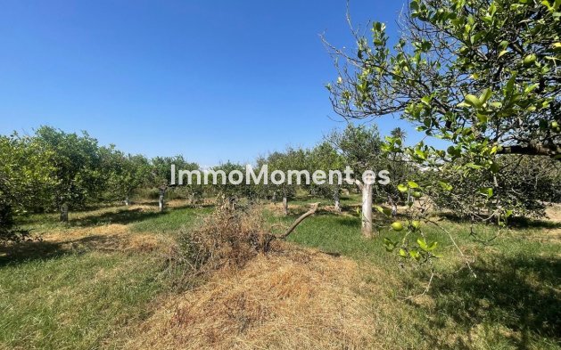 Resale - Detached villa - Inland  - Pizarra