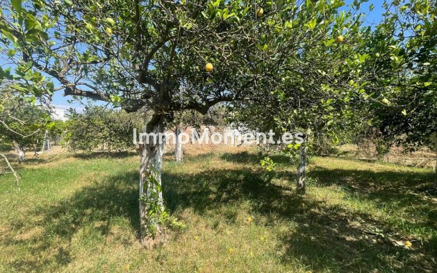Resale - Detached villa - Inland  - Pizarra