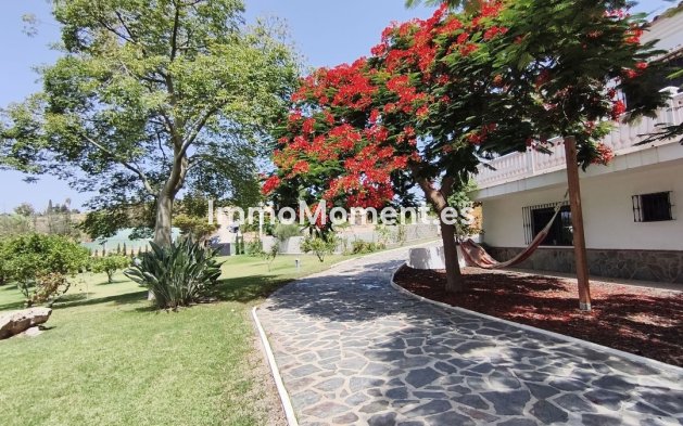 Reventa - Casa de campo - Interior  - Alhaurín de la Torre
