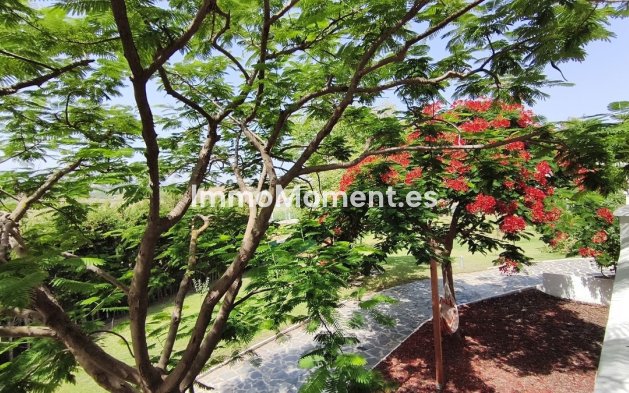Reventa - Casa de campo - Interior  - Alhaurín de la Torre