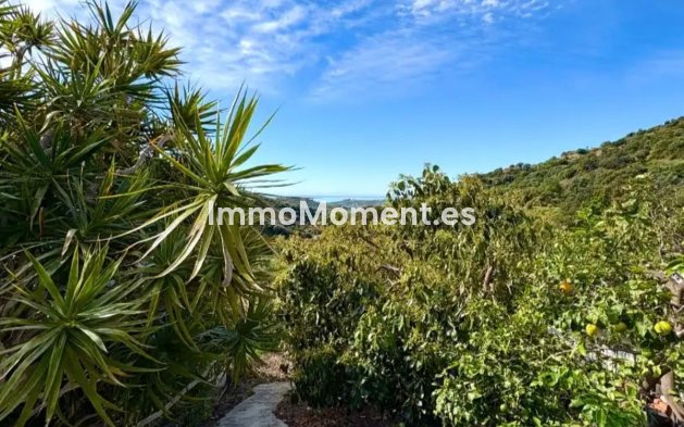 Resale - Country house - Estepona - Estepona Centro