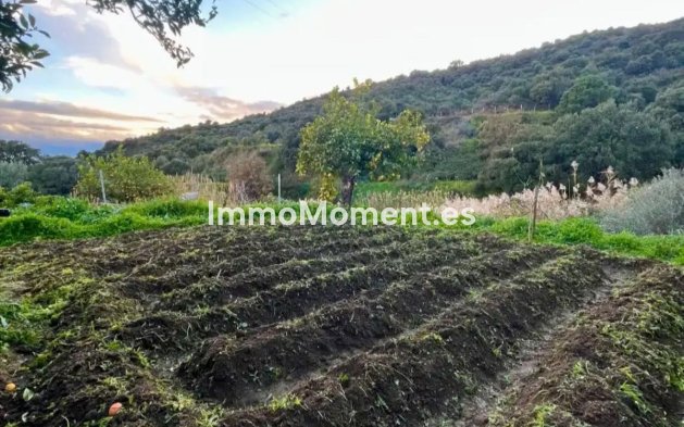 Resale - Country house - Estepona - Estepona Centro