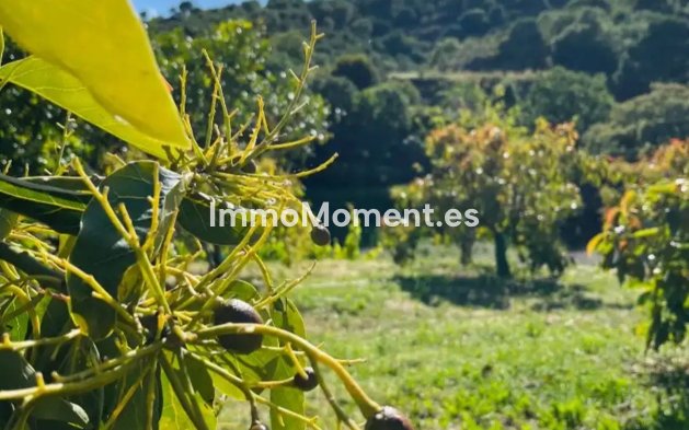 Resale - Country house - Estepona - Estepona Centro