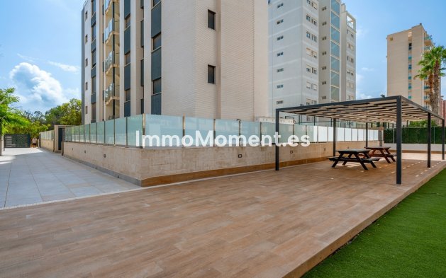 Resale - Apartment - Guardamar del Segura - Guardamar del Segura Centro