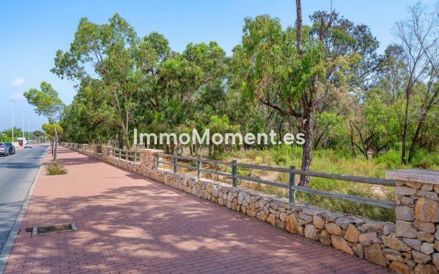 Resale - Apartment - Guardamar del Segura - Guardamar del Segura Centro