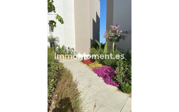 Bestaande woning - Appartement - Marbella - Nueva Andalucía