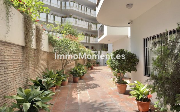 Revente - Appartement - Marbella - Nueva Andalucía