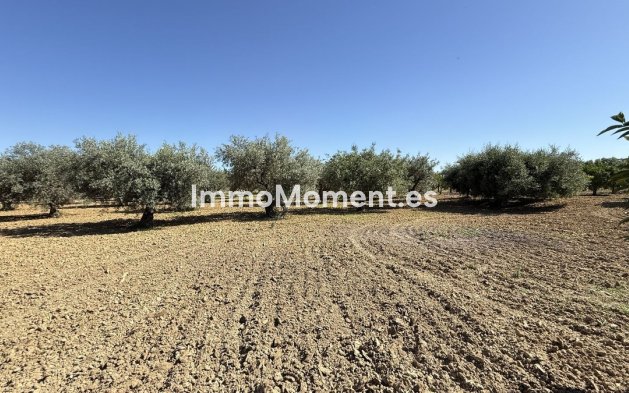 Bestaande woning - Landhuis - Binnenland  - Alhaurín el Grande Centro