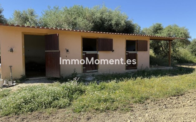 Bestaande woning - Landhuis - Binnenland  - Alhaurín el Grande Centro
