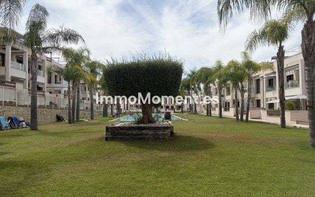 Bestaande woning - Appartement - Orihuela - Los Balcones - Los Altos del Edén