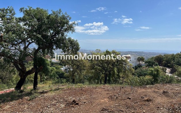 Revente - Parcelle - Marbella - La Mairena