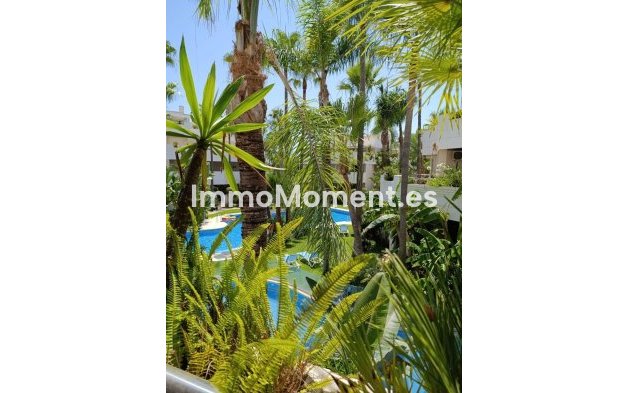 Bestaande woning - Appartement - Marbella - Nueva Andalucía