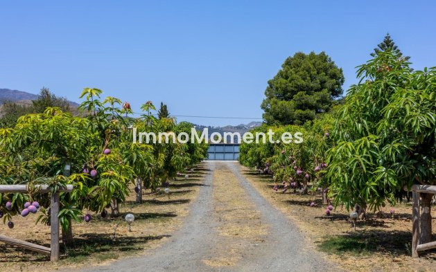 Bestaande woning - Vrijstaande villa - Binnenland  - Alhaurín el Grande Centro