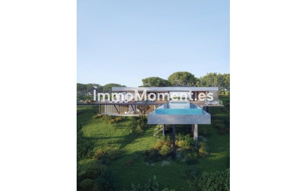 Revente - Parcelle - Sotogrande
