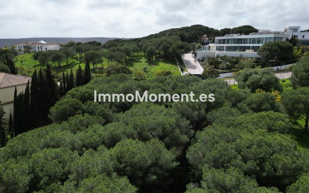 Revente - Parcelle - Sotogrande