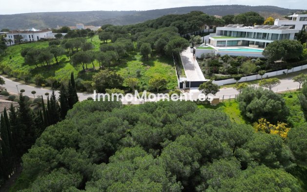 Revente - Parcelle - Sotogrande