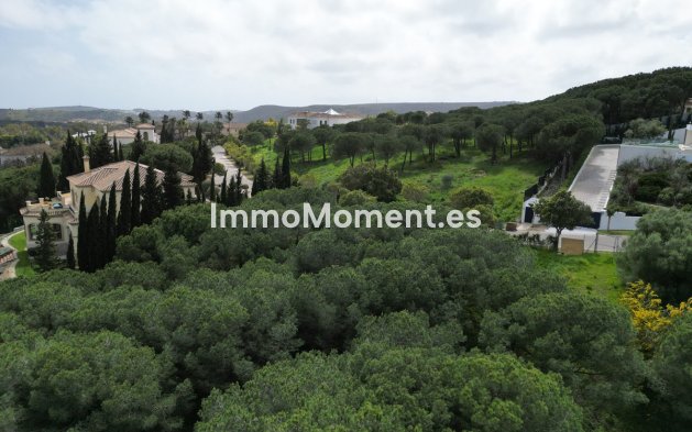 Revente - Parcelle - Sotogrande